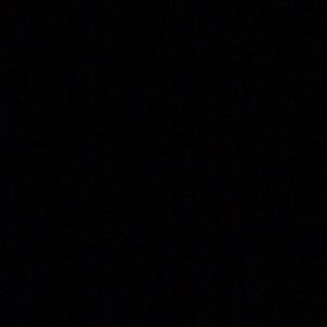 Meet your Posher, Benny